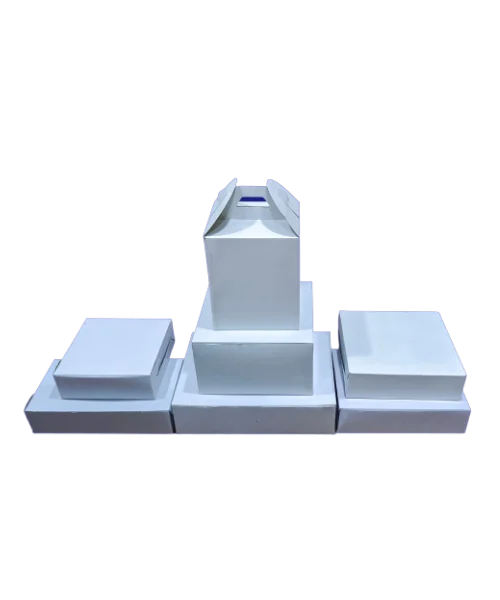 Pizza Corrugated Box Manufacturer in India